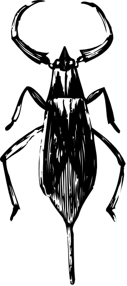 Bull Clipart in Black and White - Bold and Striking Illustration