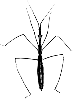 Illuminated Clock in the Dark Clipart for Creative Projects