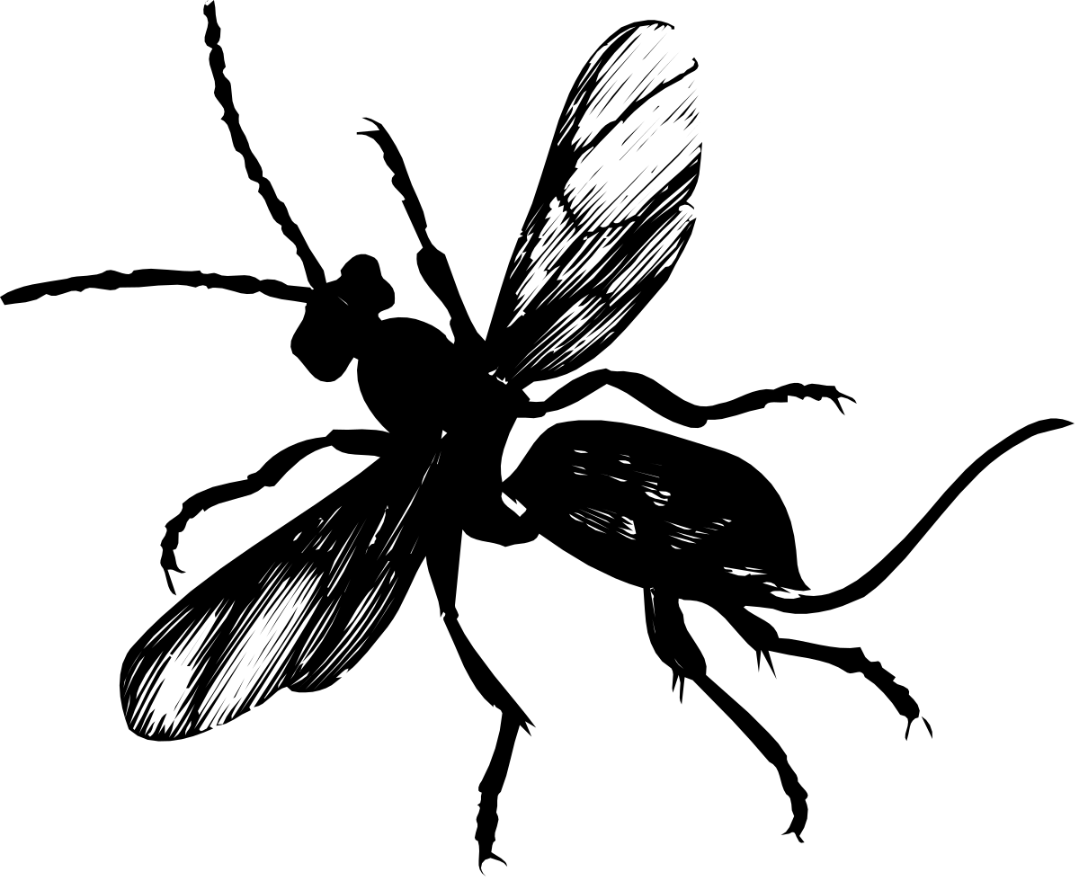 a black and white butterfly flying through the air clip art png transparent Black and White Butterfly Flying Through the Air Clipart