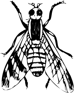 Black and White Man's Face Clipart - Elegant and Timeless Visuals