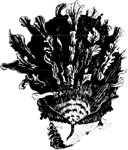 Black and White Flower Clipart: Elegant Floral Designs