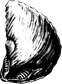 Cat Clipart: Elegant Black and White Drawing for Creative Projects