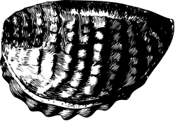 Hand Clipart: Stunning Black and White Drawing for Creative Projects