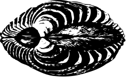 Flower Clipart: Elegant Black and White Floral Design