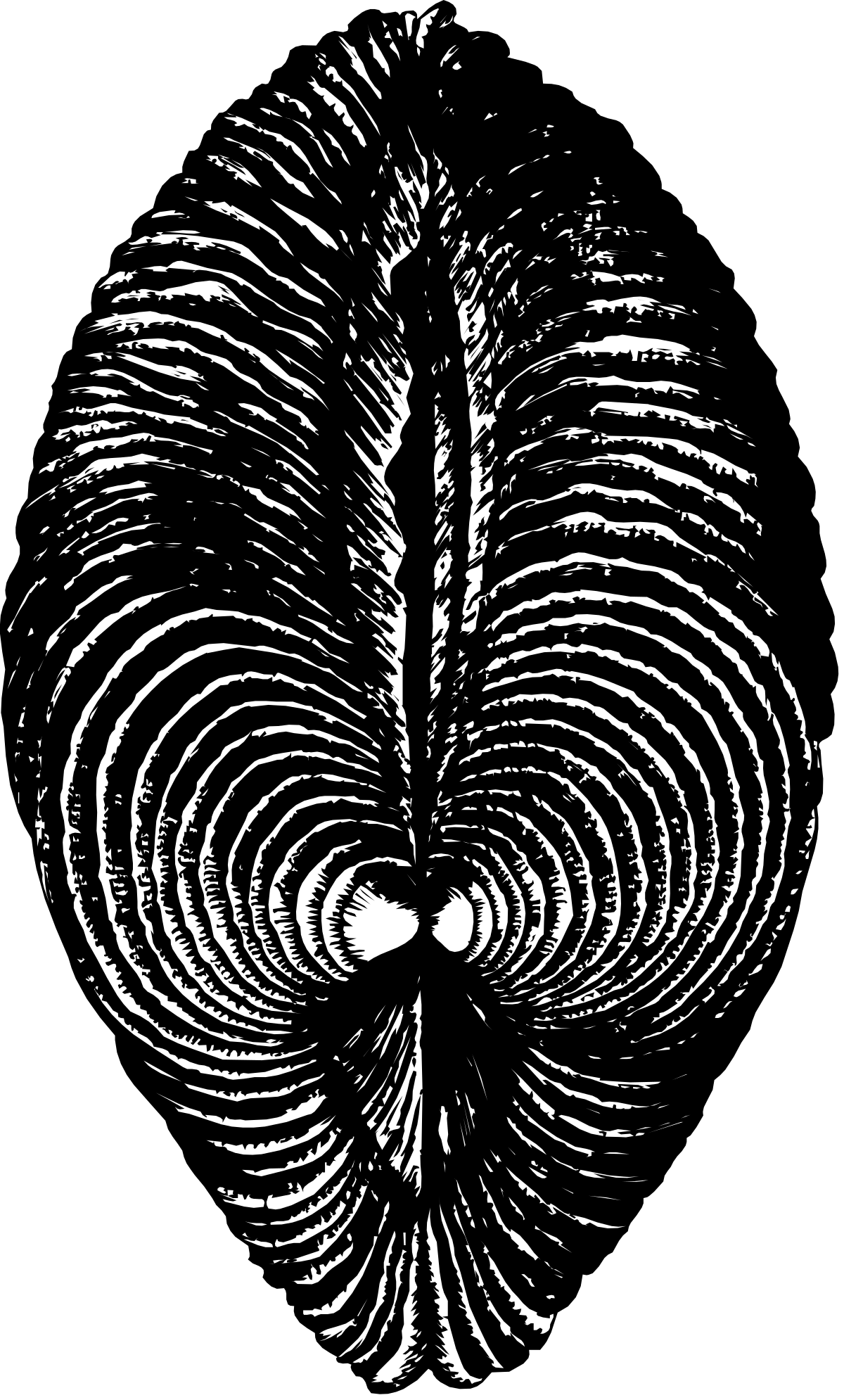 Heart Clipart - Classic Black and White Heart Design