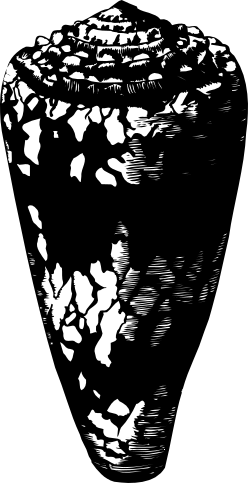 Skull Clipart - Striking Black and White Illustration