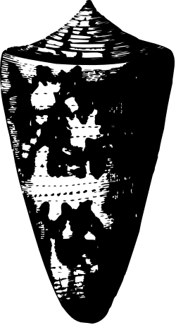 Black and White Man's Face Clipart - Stunning Monochrome Portraits
