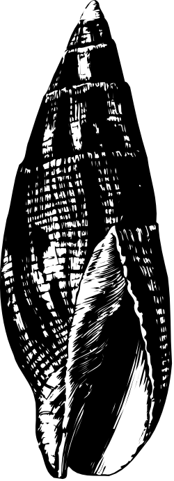 Black and White Woman Illustration Clipart for Versatile Uses