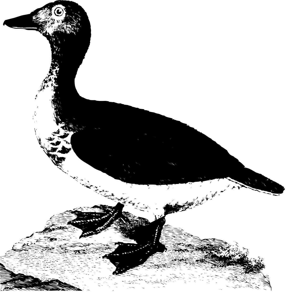Black and White Man in the Dark Clipart for Various Uses