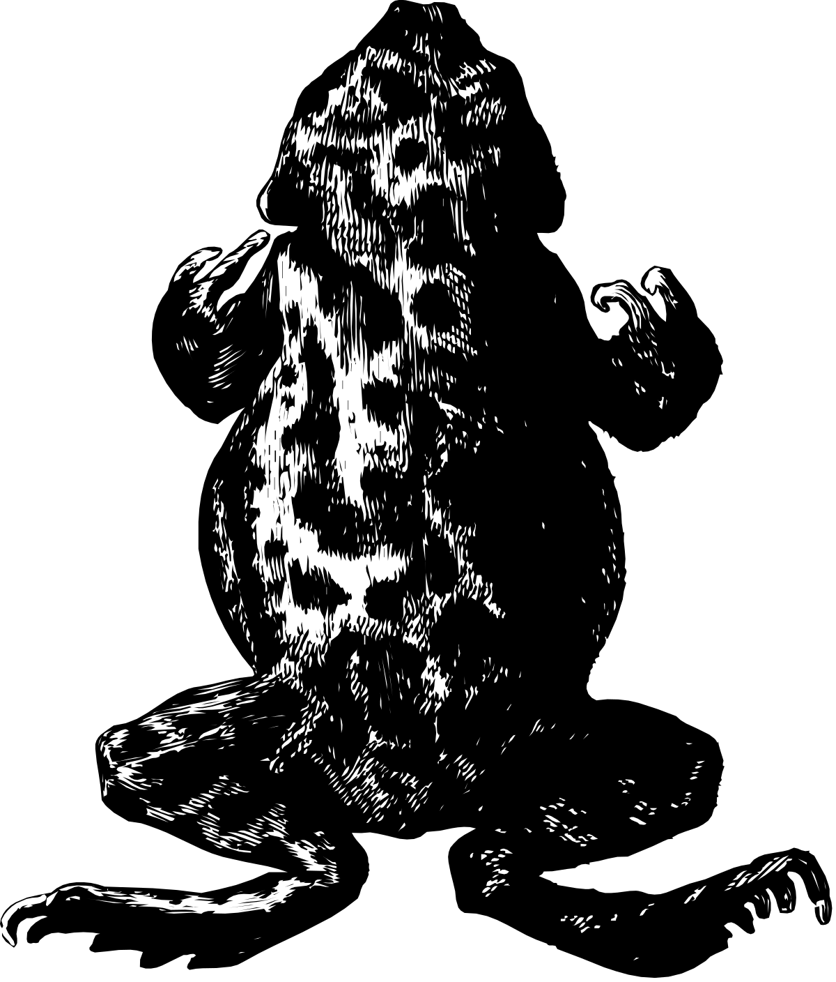 a black and white image of a dog clip art png transparent Dog Clipart: Black and White Illustration of a Loyal Companion