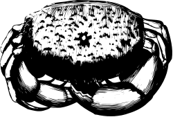 Skull Clipart: Black and White Ink Drawing for Unique Designs