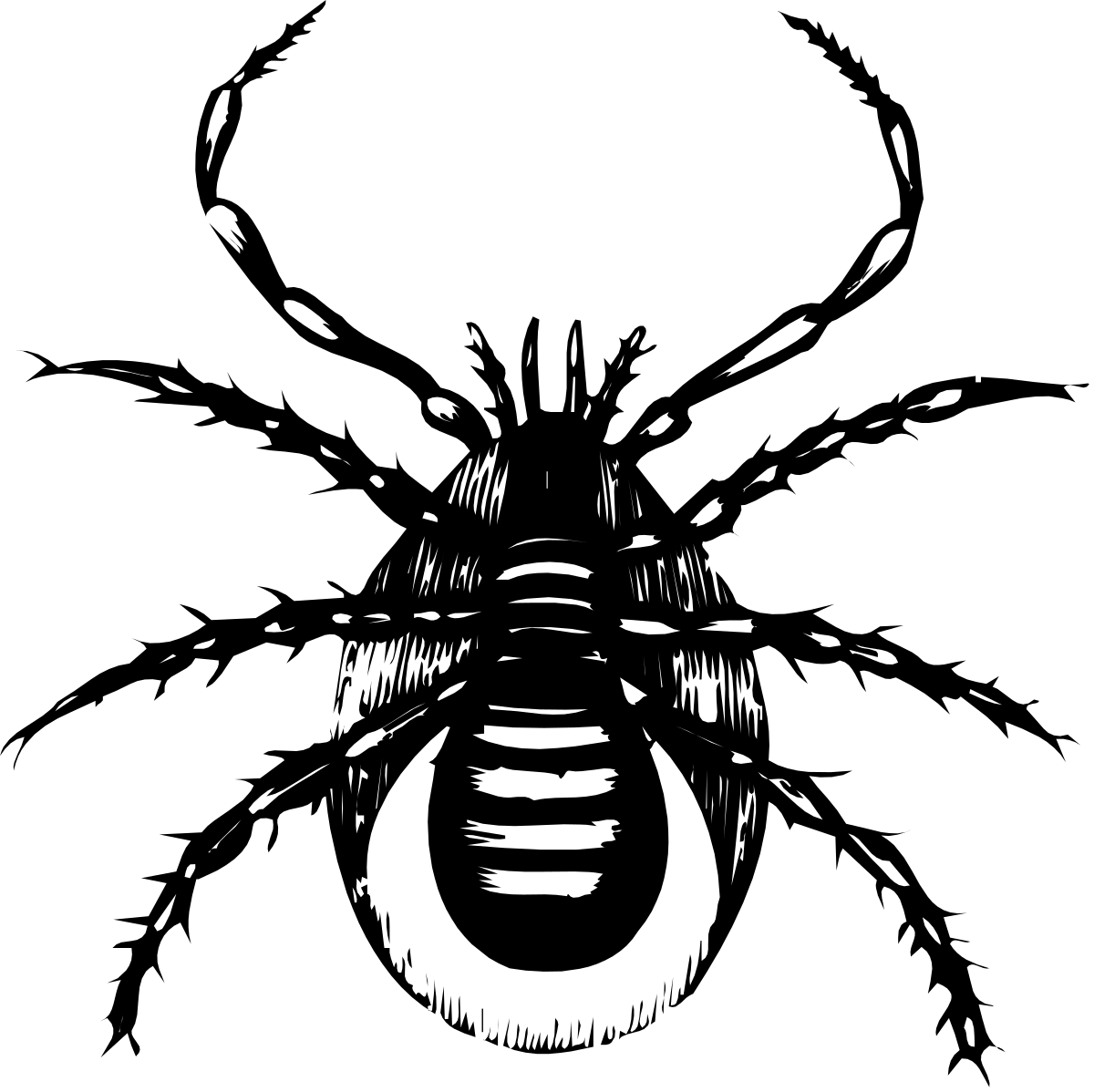 a black and white image of a man ' s face clip art png transparent Black and White Man's Face Clipart - Unique Silhouette for Versatile Use
