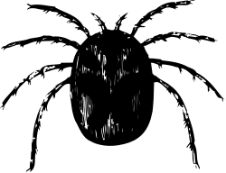 Black and White Face Clipart - Elegant Minimalist Style