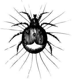 Black and White Face Clipart - Versatile and Unique Illustrations
