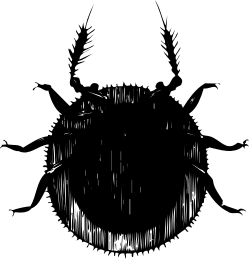 Face Clipart - Black and White Illustration for Versatile Use