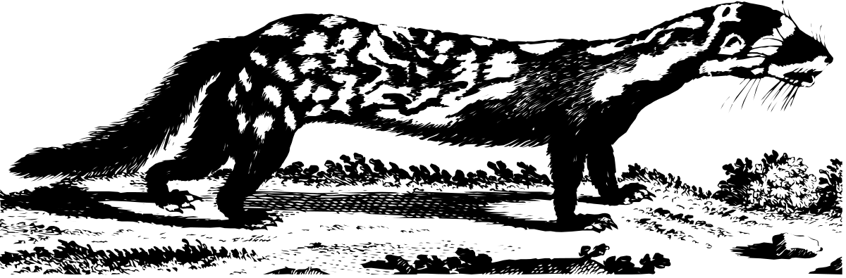 Wolf Clipart: Stunning Black and White Drawing of a Majestic Wolf