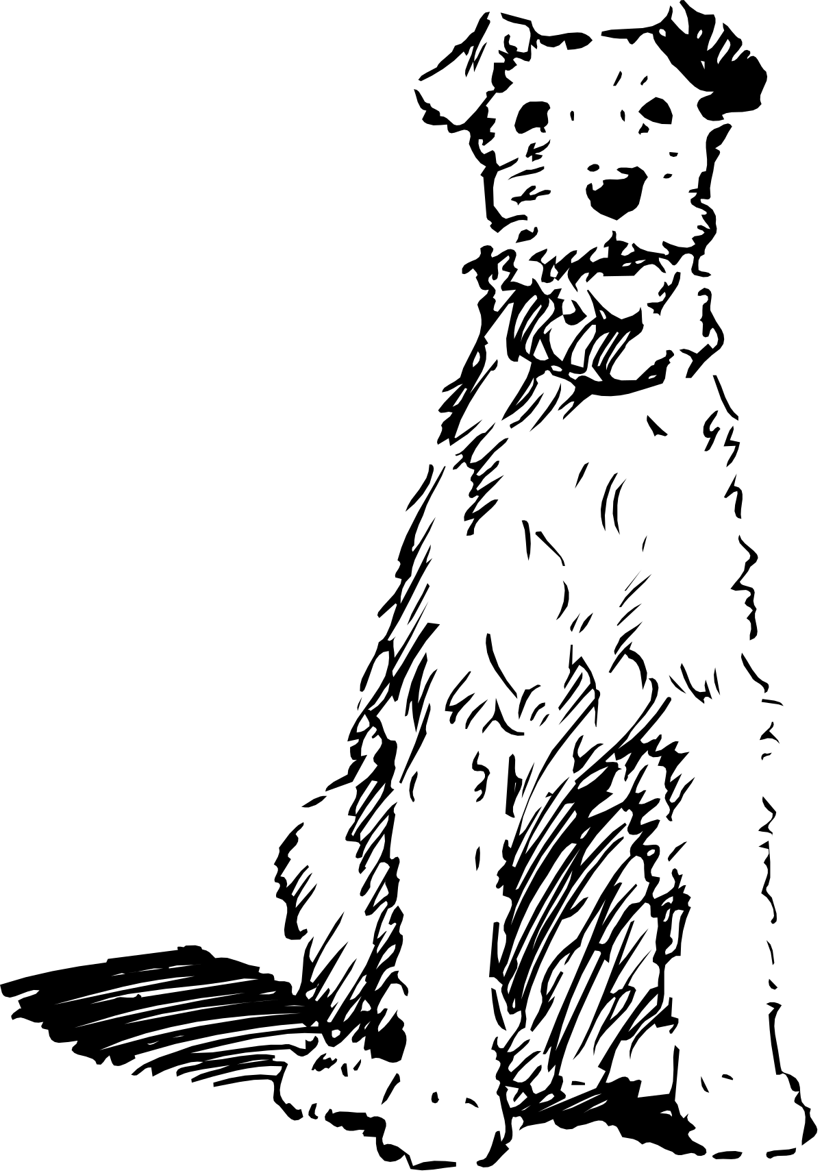 Black and White Cat Clipart Drawing for Creative Projects