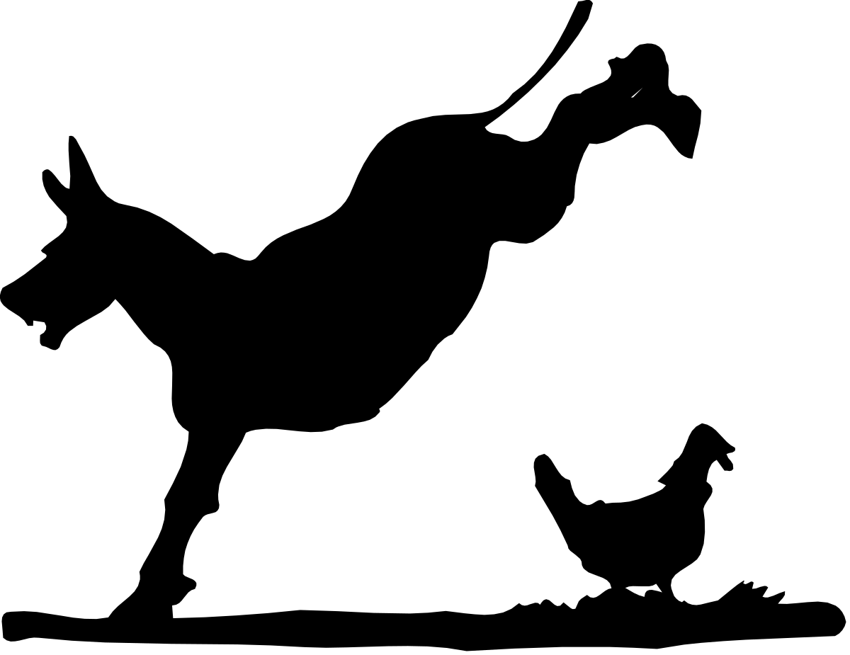 Black Background with White Bird Flying Clipart for Stunning Visuals