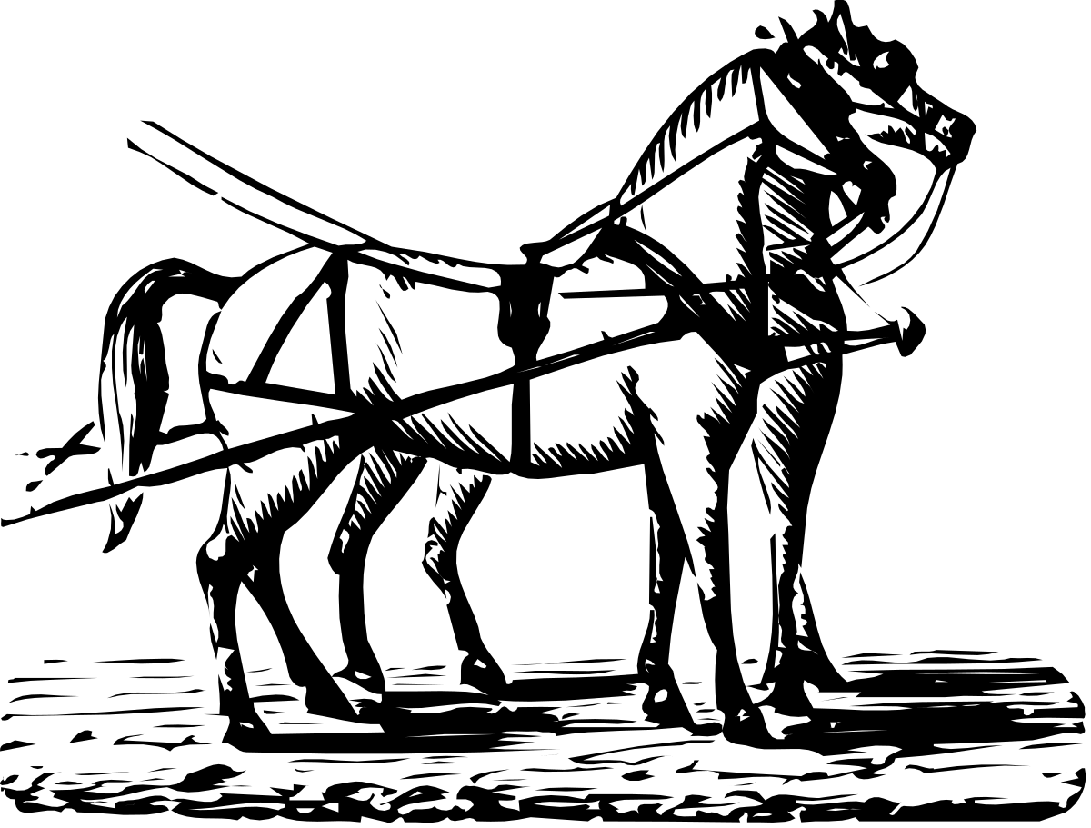 Black and White Horse Clipart - Elegant Equine Illustrations