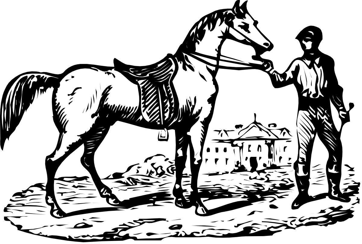 Horse Clipart: Elegant Black and White Drawing for Creative Projects