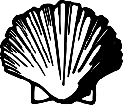 Black and White Shell Clipart: Elegant Seashell Design
