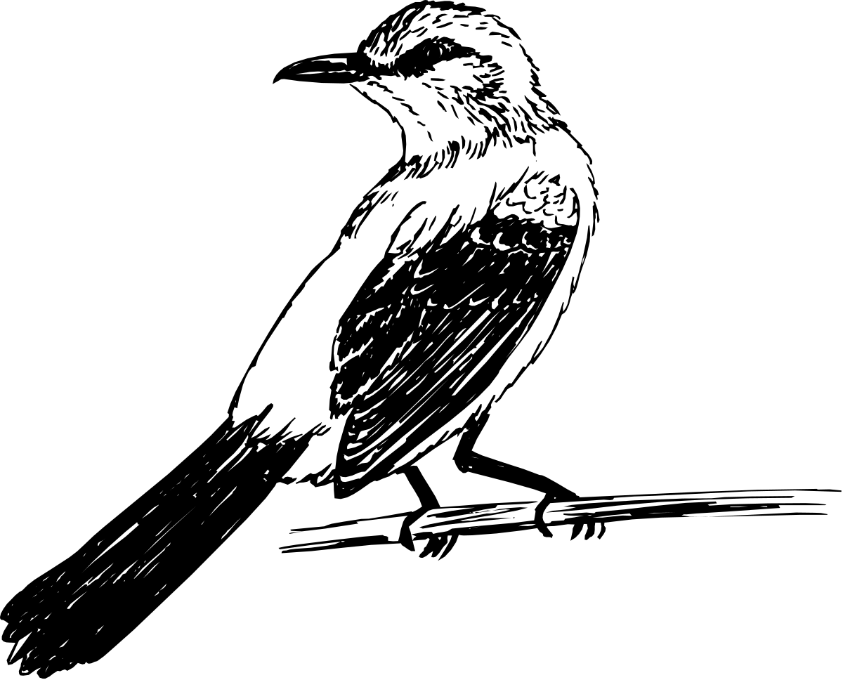 Dark Scene: Bird on a Branch Clipart Illustration