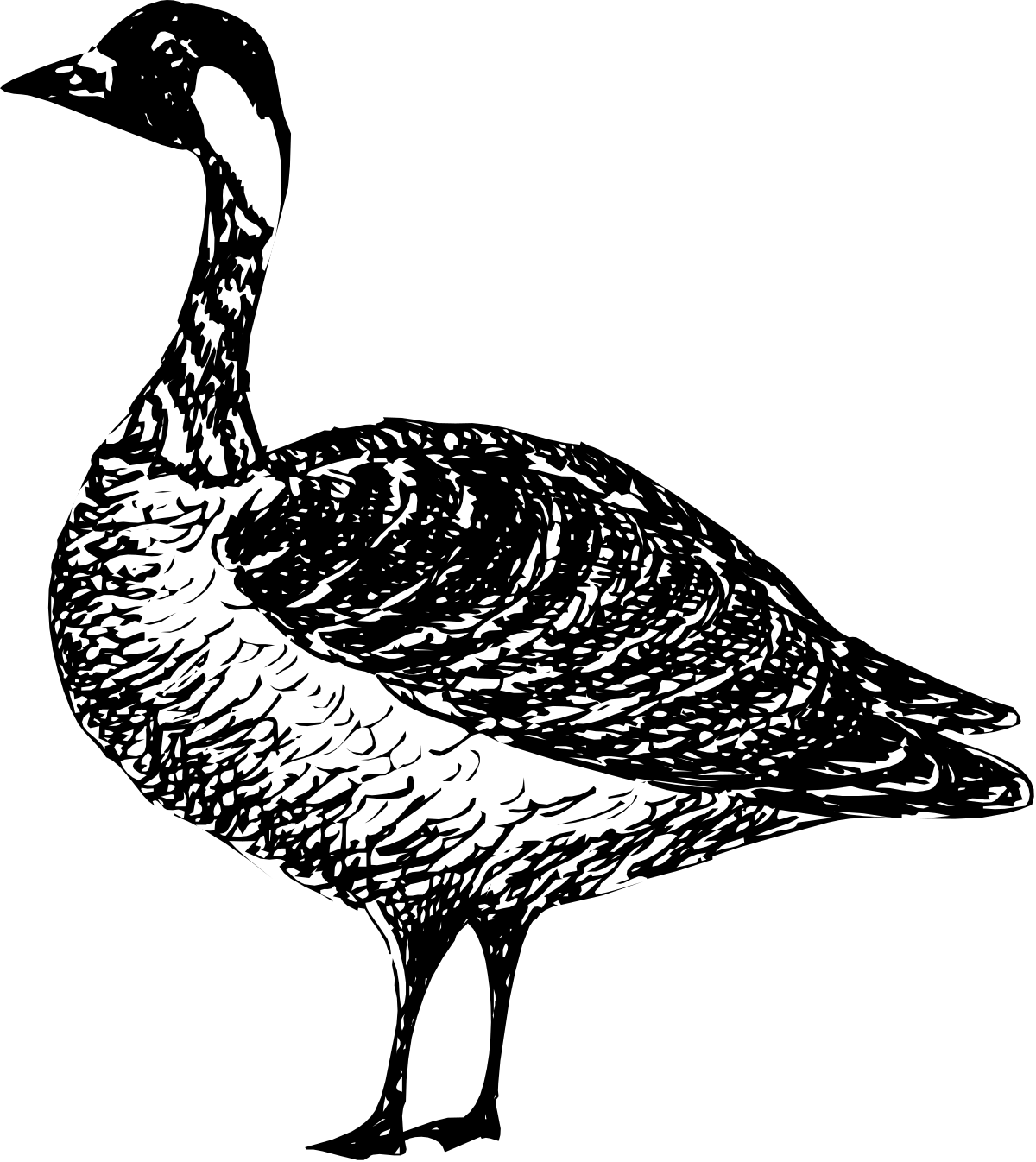 a black and white drawing of a goose clip art png transparent Goose Clipart - Black and White Drawing for Creative Projects