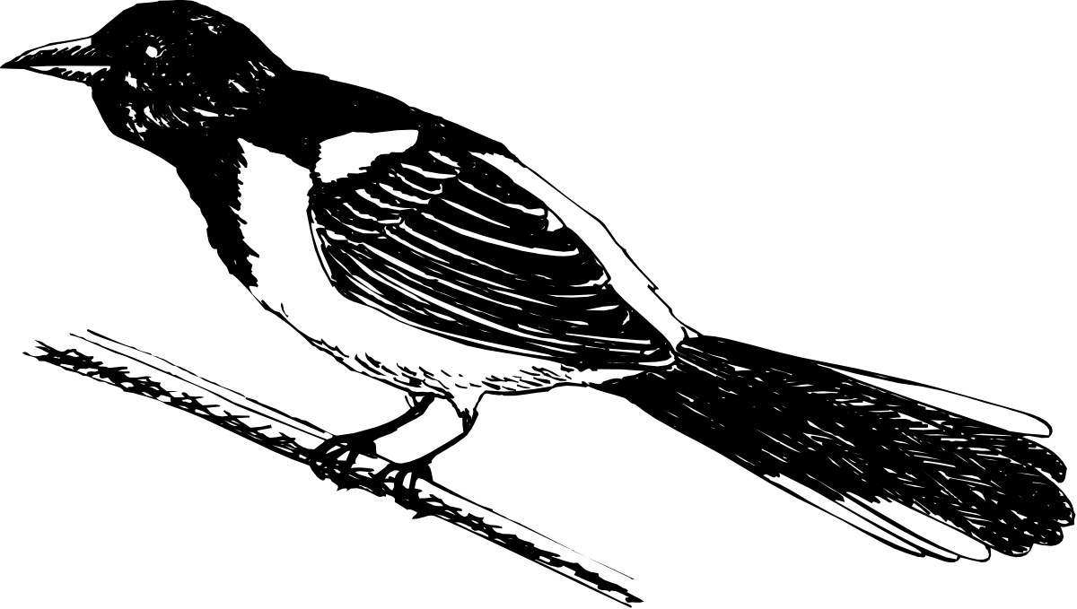 a bird sitting on a branch clip art png transparent Bird Sitting on a Branch - Vibrant Nature Clipart
