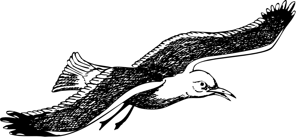 Bird Flying in the Air with Spread Wings - Captivating Clipart
