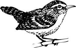 Black and White Bird Clipart - Elegant Outline Art for Versatile Use