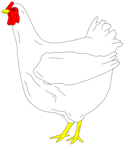 White Chicken with Red Beak - Vibrant Clipart for Your Projects