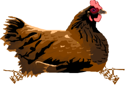 Chicken Clipart with Red Beak on Black Background