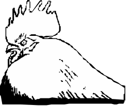 Black and White Silhouette of a Chicken - Stunning Clipart for Creative Projects