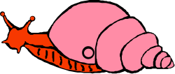 Pink Snail with Red Stripe Clipart for Vibrant Designs