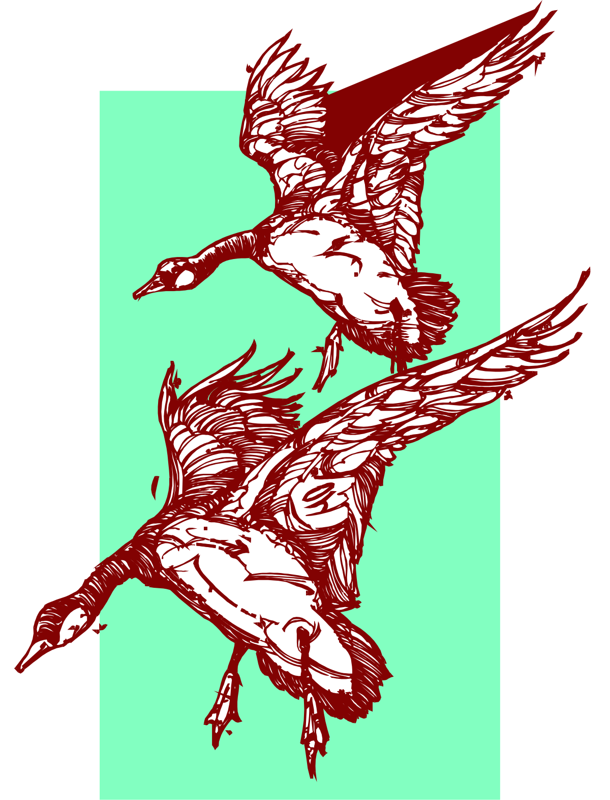Flying Birds Clipart: Two Graceful Birds Soaring in the Sky