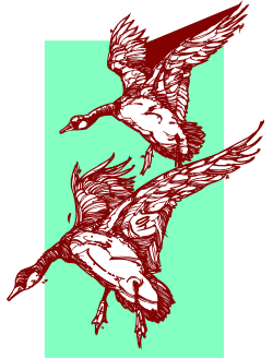 Flying Birds Clipart: Two Graceful Birds Soaring in the Sky