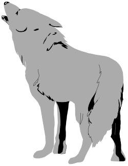 Wolf Silhouette Vector Art - Stunning Wildlife Clipart