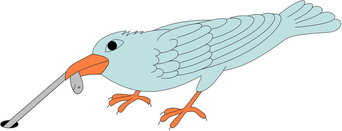 Long-Beaked Bird Clipart: Vibrant Orange Beak Illustrations