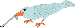 Long-Beaked Bird Clipart: Vibrant Orange Beak Illustrations