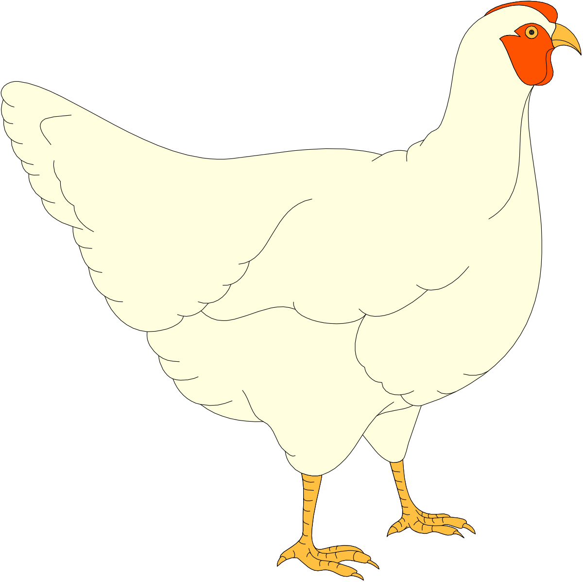 White Chicken with Orange Beak and Feet Clipart for Creative Projects
