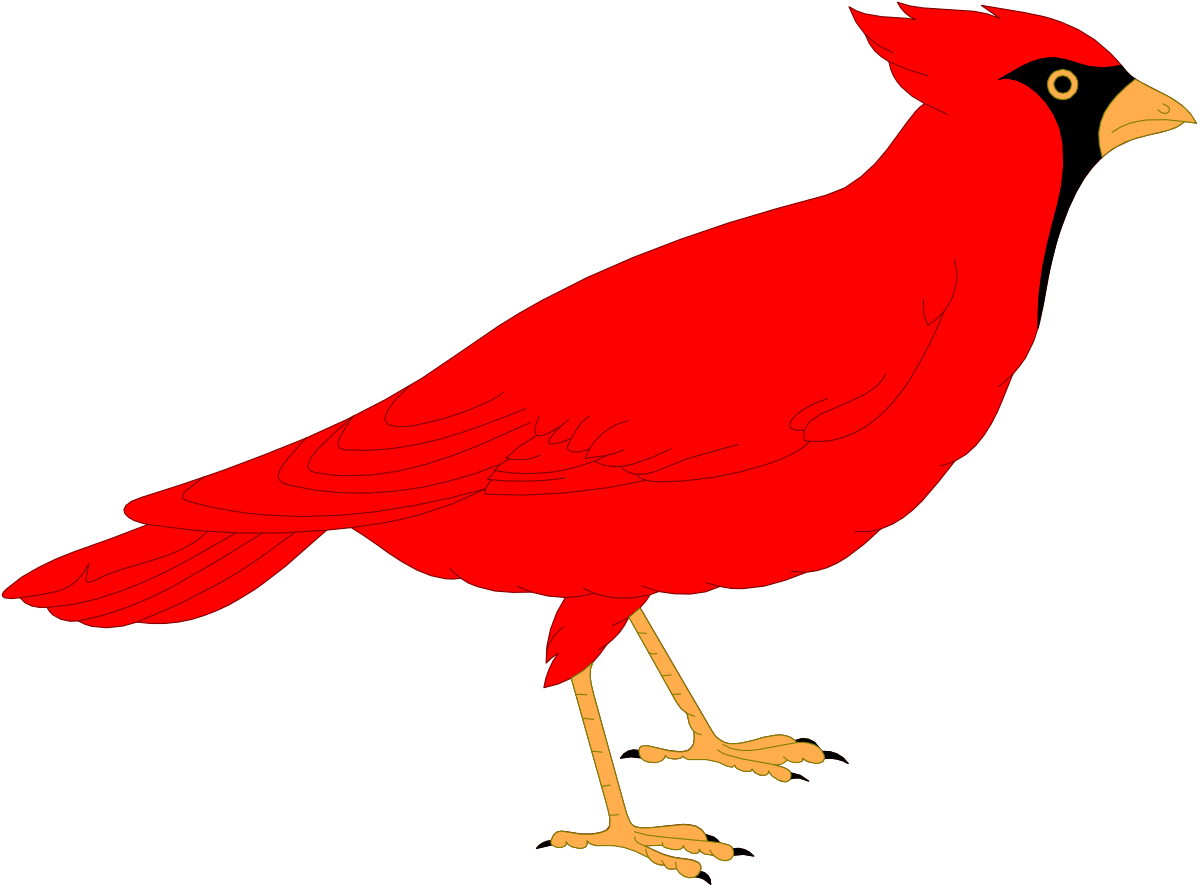 Red Bird with Yellow Beak Clipart: Vibrant Avian Illustration