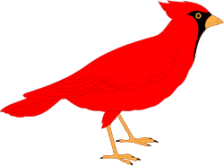Red Bird with Yellow Beak Clipart: Vibrant Avian Illustration