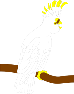 White Parrot Sitting on a Branch - Stunning Clipart for Your Projects