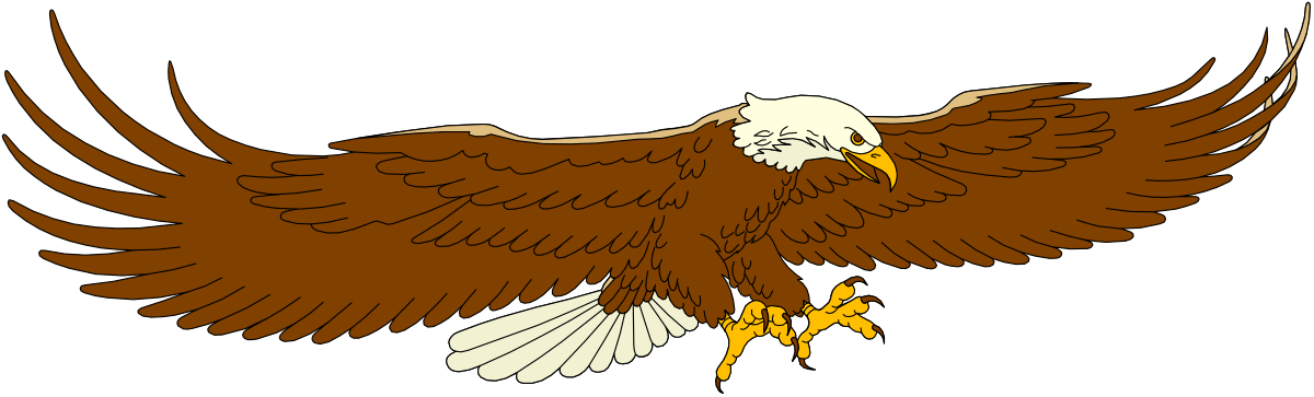 Eagle in Flight - Majestic Bird with Wings Spread Clipart