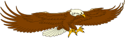 Eagle in Flight - Majestic Bird with Wings Spread Clipart
