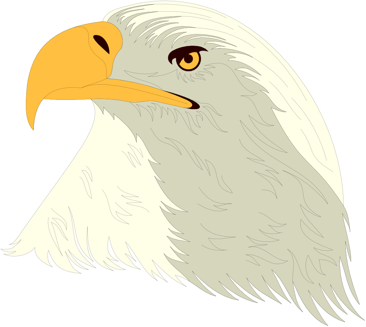 Eagle Head Clipart with Yellow Beak - Bold and Striking Images
