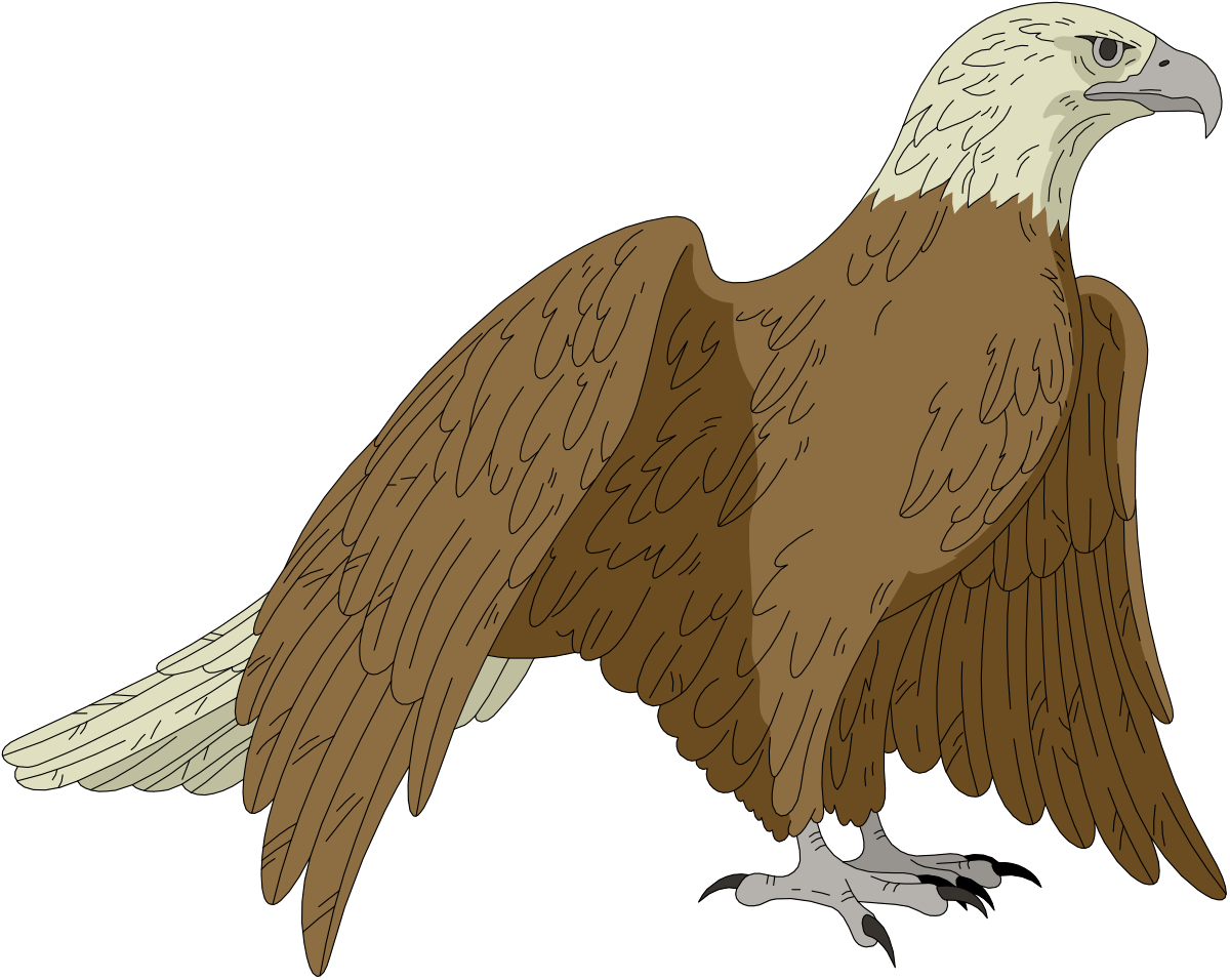 Bird with Long Beak and Tail Clipart for Creative Projects