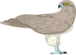 Vibrant Bird with Yellow Eye on Black Background Clipart