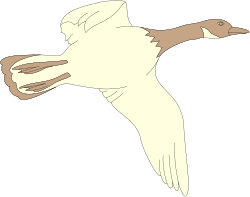 Duck Flying in the Air - Vibrant Clipart for Every Project