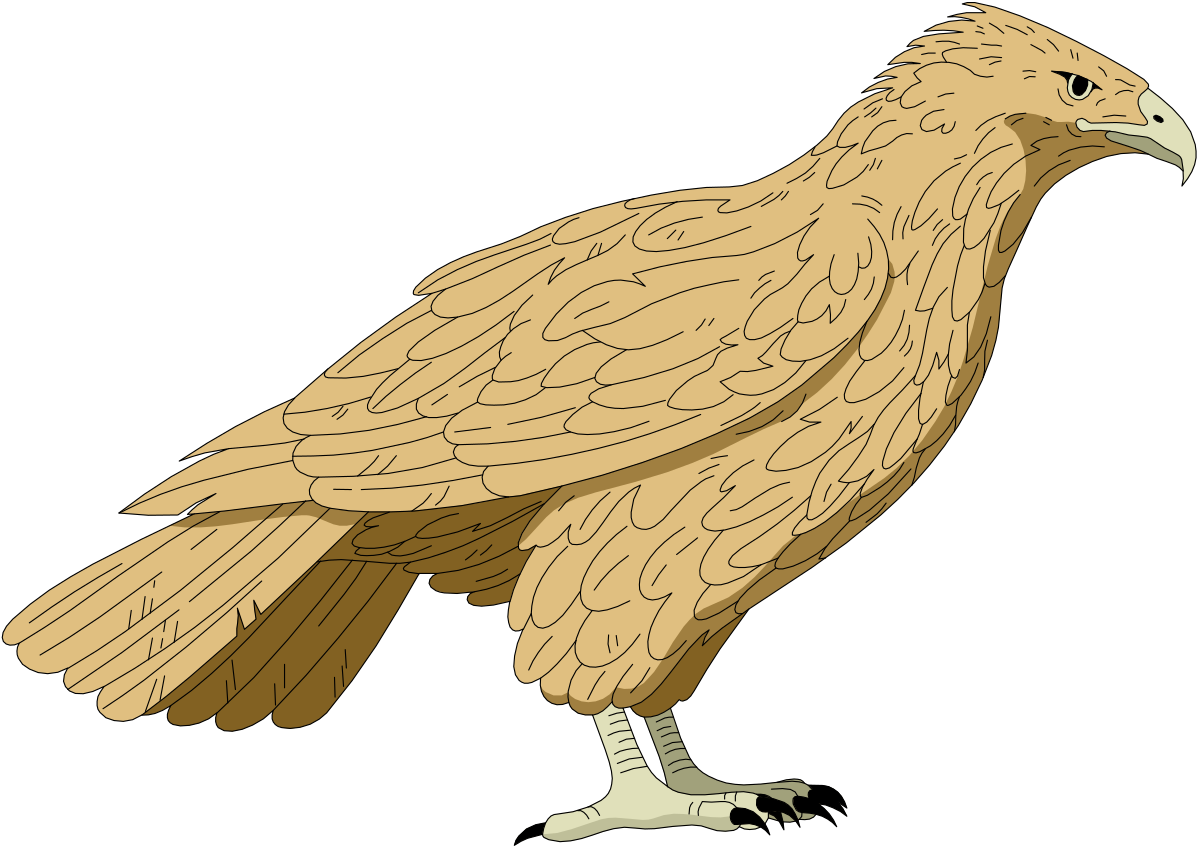 Bird with Long Beak Clipart - Perfect for Nature and Wildlife Themes